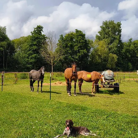 Westernreiten K&k